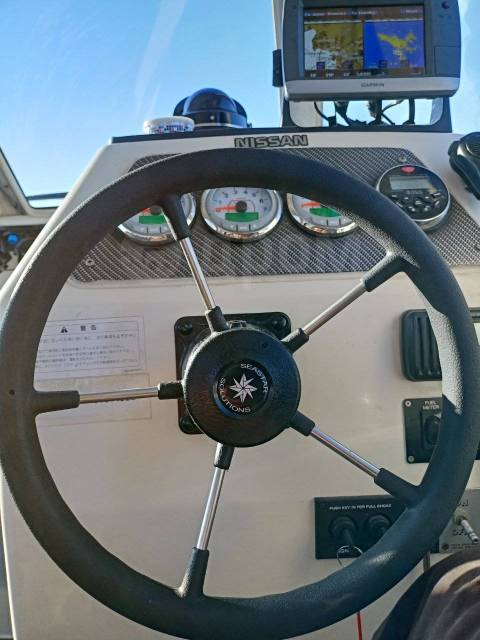 Nissan Suncat. 2015 ,  7,70.,  , 230,00..,  