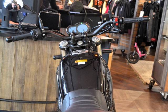 Benelli Leoncino 500 Trail. 500. ., , ,   