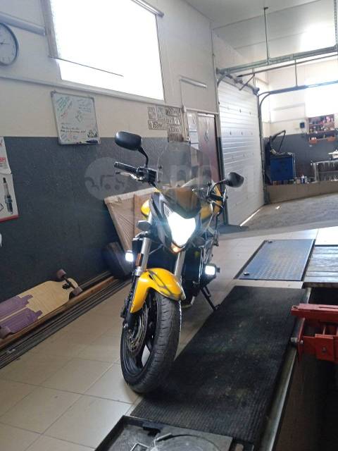 Honda CBF 600. 600. ., , ,   