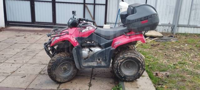 Arctic Cat 300. ,  \,   