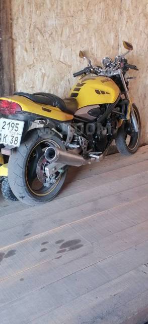 Suzuki Bandit. 250. ., , ,   