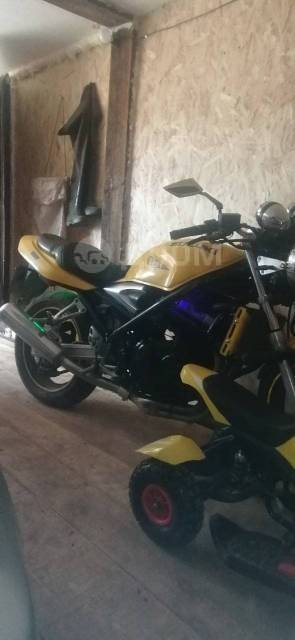 Suzuki Bandit. 250. ., , ,   