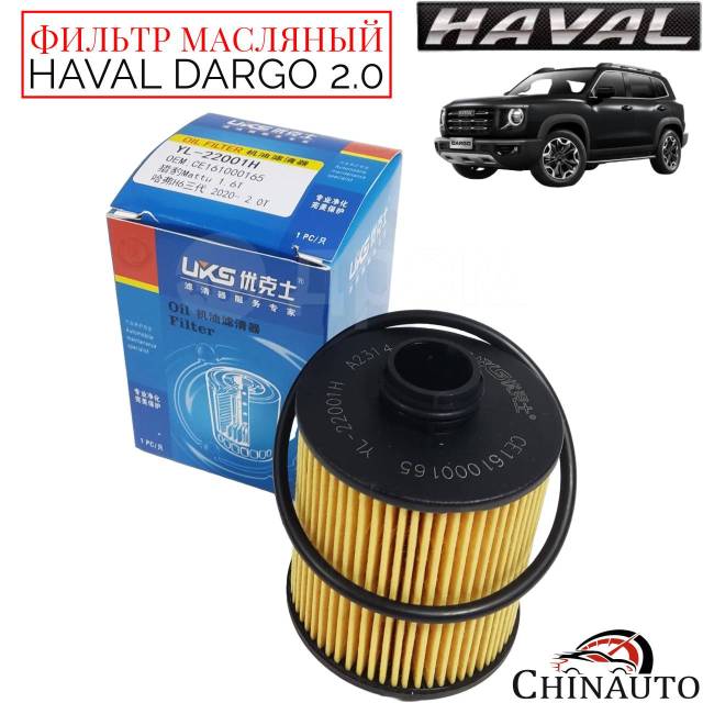 Haval Dargo 1017110XEN01 800