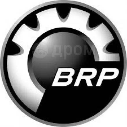      BRP, SkiDoo 619230031 