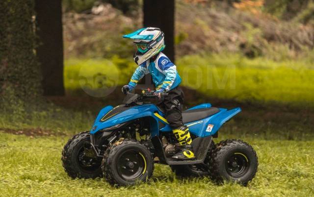 CFMoto CForce 110 EFI. ,  \,  .     