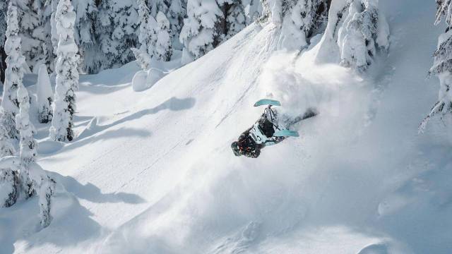 BRP Ski-Doo Freeride. ,  ,  .    - 