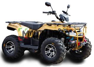  Irbis () ATV 250 Premium 2024    