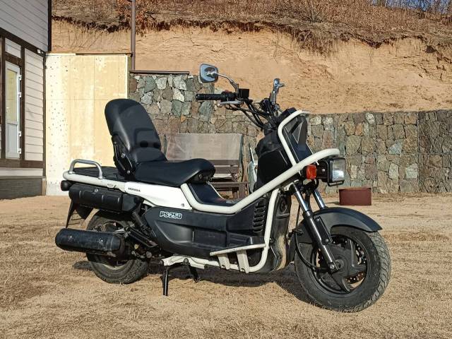 Honda PS 250 Big Ruckus. 250. ., , ,   