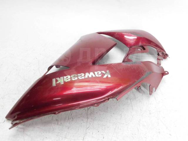    Kawasaki ZZR1400 55028-0219 