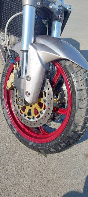 Ducati Monster 1000. 1 000. ., ,  