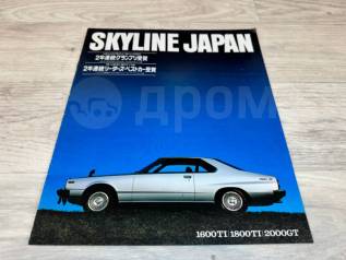   Nissan Skyline 
