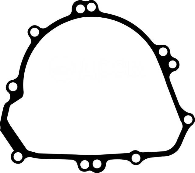    SVF-gasket Kawasaki KL250 KLX250 KLX300 (11060-1326) 