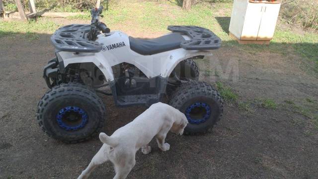 Avantis ATV Classic 8 New. ,  \,   