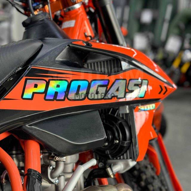 Progasi Race 300