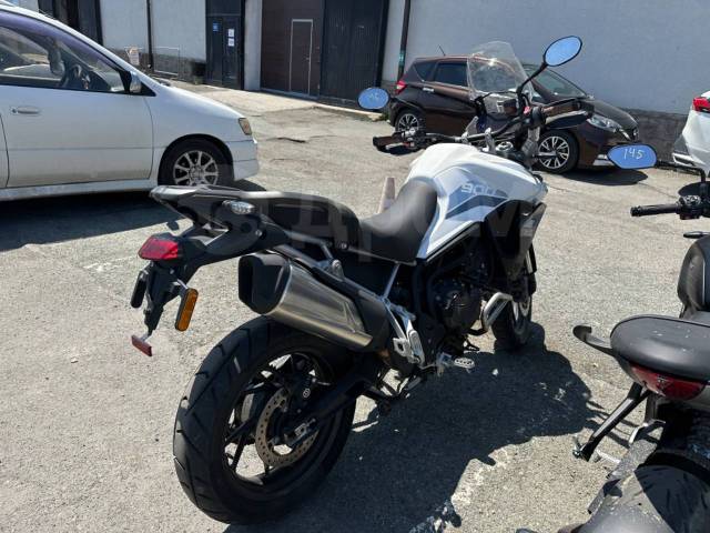 Triumph Tiger 900 GT Pro. 900. ., , ,   