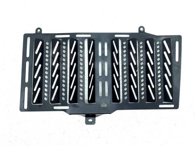 Решетка радиатора BMW F 650 GS 2006-2011 (F650GS K72) [H0001405533] фото