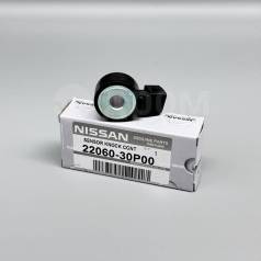   Nissan 22060-30P00 