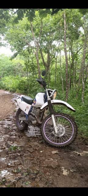 Yamaha TT-R 250 Raid. 250. ., , ,   