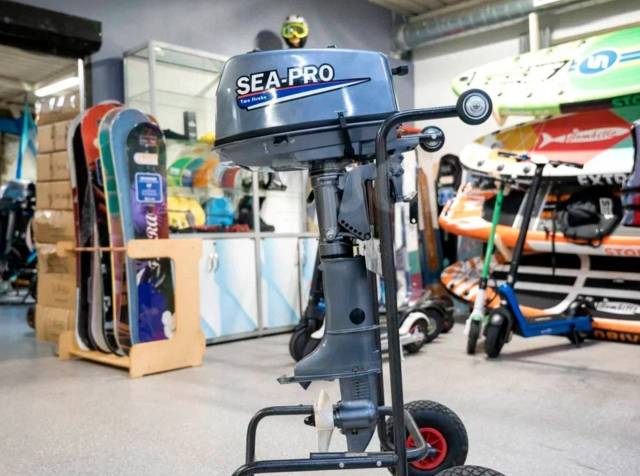 Sea-Pro. 5,00.., 2-, ,  S (381 ), 2024 .     