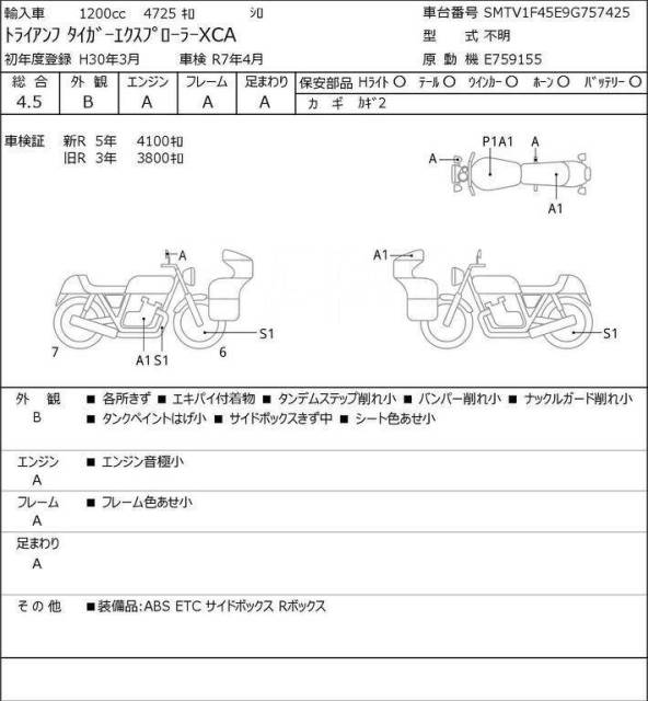 Triumph Tiger 1200. 1 200. ., , ,   