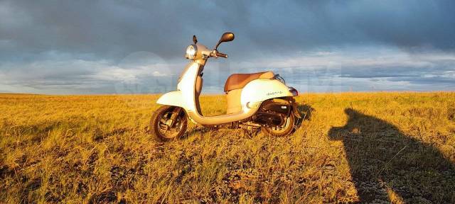 Honda Giorno. 50. ., ,  ,   