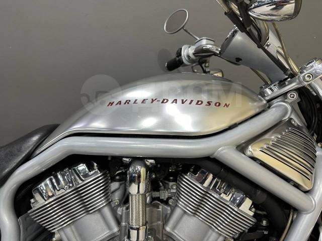 Harley-Davidson V-Rod. 1 130. ., , ,   