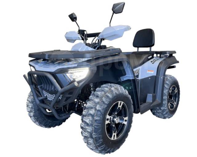 Bashan Explorer 300 