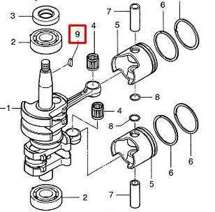   Tohatsu 6-9.8, MFS6 (PREMARINE) 