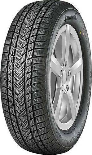 Gripmax SureGrip Pro Winter, 205/55 R17 95V XL