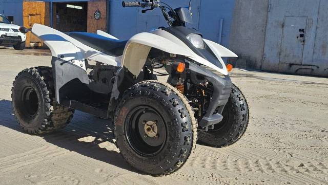 Stels ATV 100RS. ,  \,   