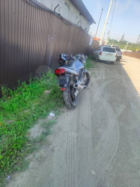 Suzuki Bandit. 250. ., , ,   