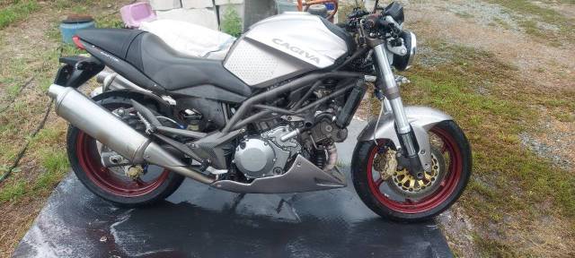 Ducati Monster 1000. 1 000. ., ,  