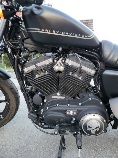 Harley-Davidson Sportster 883 XL883. 883. ., , ,   