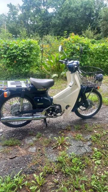 Honda Super Cub. 49. ., ,  ,   