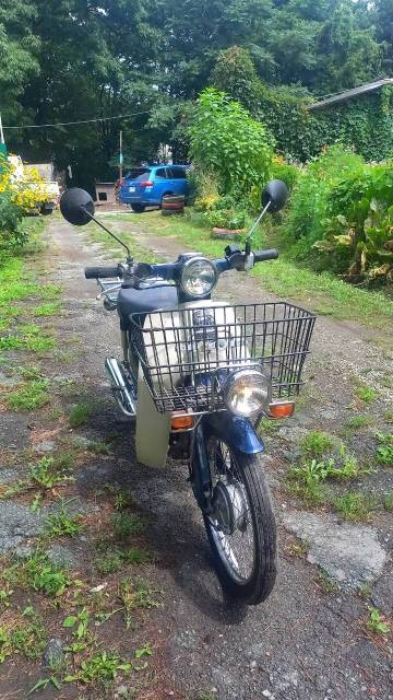 Honda Super Cub. 49. ., ,  ,   