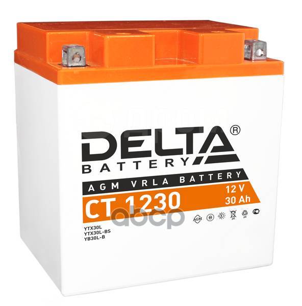  Delta Battery Agm 30 /  R+ 168X126x175  En 300  DELTA battery . CT 1230 