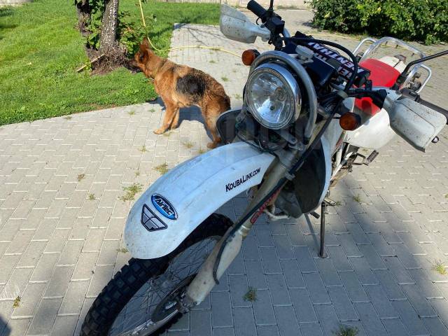 Honda XR 650L. 650. ., , ,   