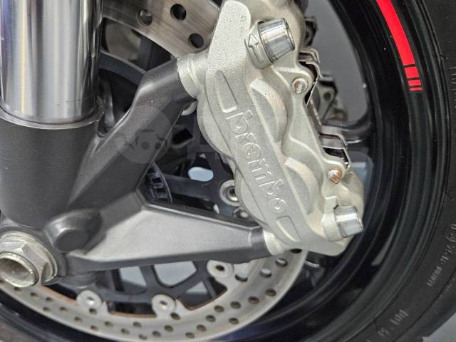 Ducati Monster 796. 800. ., , ,   