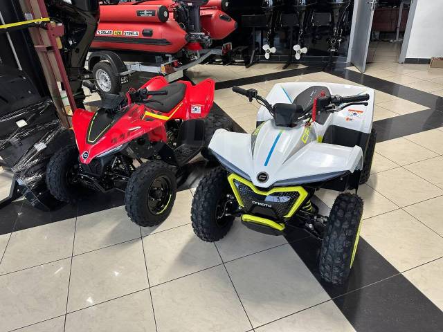 CFMoto CForce 110 EFI. ,  \,   