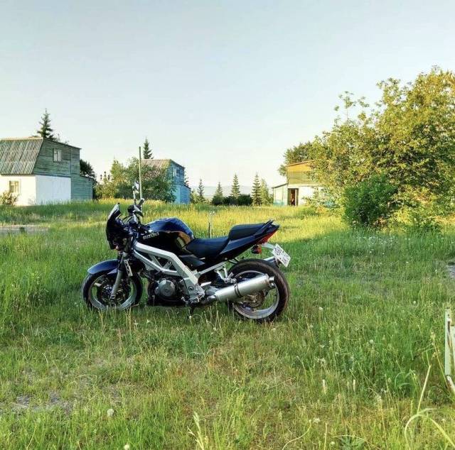 Suzuki SV 1000. 1 000. ., , ,   