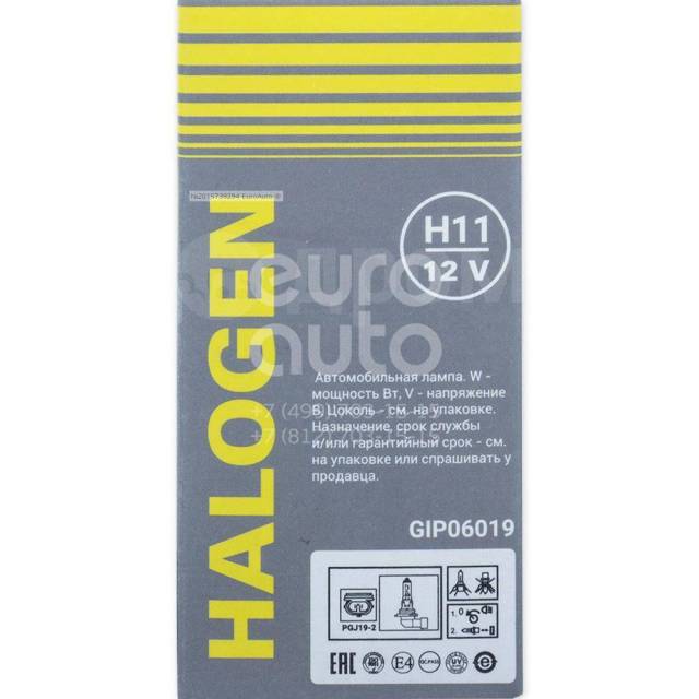 Купить Галогенная лампа H11 12v 55w (PGJ19-2).1 шт. GANZ GIP06019 в ...