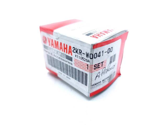     Yamaha XVS 1300 A Midnight Star 2007-2009 (XVS1300A 11C VP261) [H0001523274] 