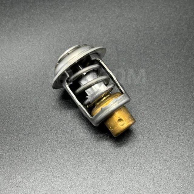  THERMOSTAT (Quicksilver) 