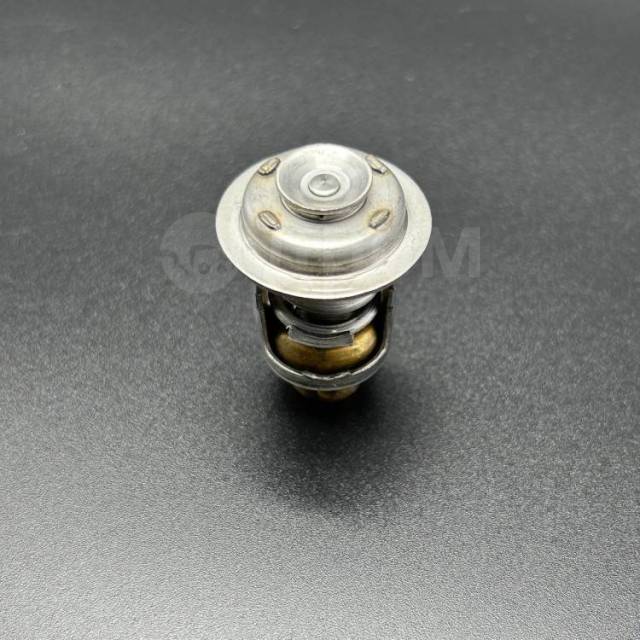  THERMOSTAT (Quicksilver) 