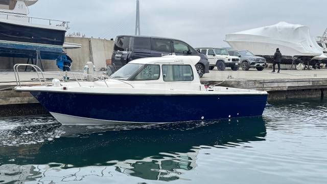 Toyota Ponam. 2008 ,  8,50.,  , 165,00..,  