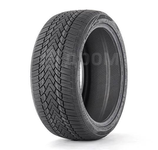 Fronway Icemaster I, 205/60 R16 92H