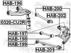    HAB202 