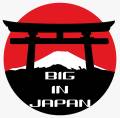    Big In Japan