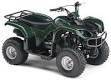 Yamaha Grizzly 80, 2008 