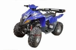 Stels ATV 110, 2013 